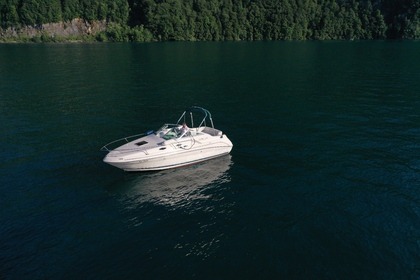 Miete Motoryacht Sea Ray 240DA Gersau