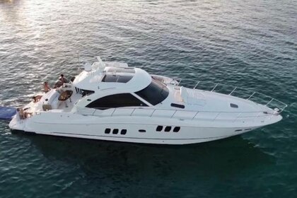 Noleggio Yacht a motore Sea Ray Sun Dancer Fajardo