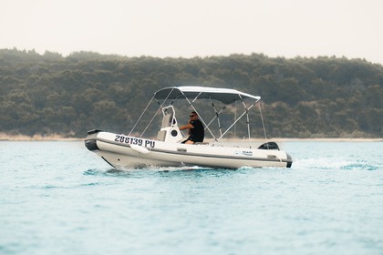 Charter RIB Weihai Marine Co. Arimar Dolphin 520 L Pula