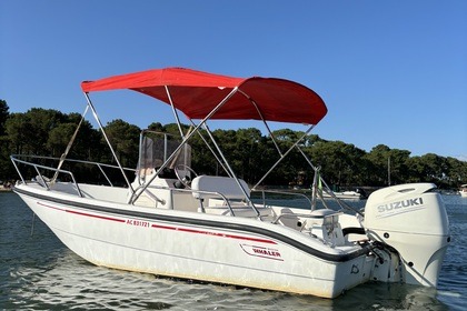 Charter Motorboat Boston Whaler Dauntless 16 dauntless Lège-Cap-Ferret