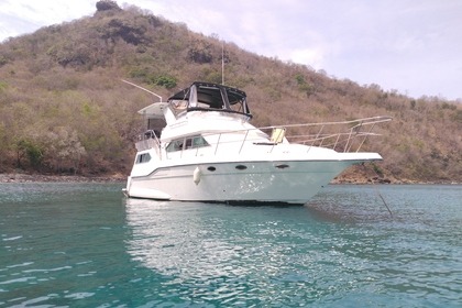 Charter Motorboat Cruisers CRUISERS YATCH 3850 AFT Le Lamentin