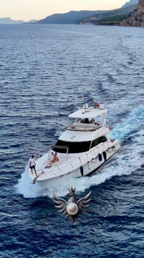 Motorboat Sea Ray 480 sedan bridge Plano del barco