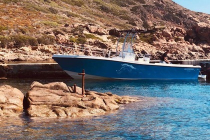 Noleggio Barca a motore Mako 261b Calcatoggio