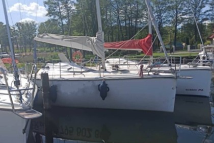 Charter Sailboat Twister Twister 26 Gizycko