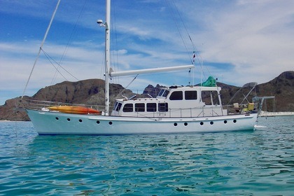 Hire Motorboat Alan Mummery Custom La Paz