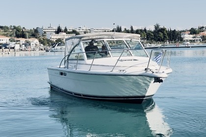 Rental Motorboat Tiara 2900 CORONET Porto Cheli