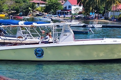 Charter Motorboat Contender Contender 12m Guadeloupe