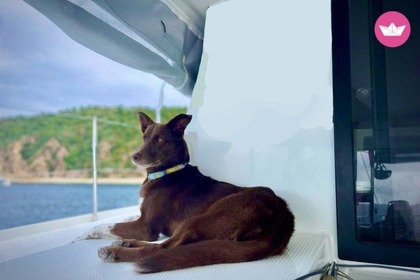 Charter Catamaran Fountaine Pajot Lucia 40 Marigot