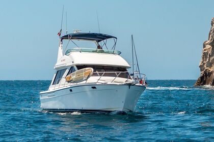 Rental Motorboat Bayliner 42 Cabo San Lucas