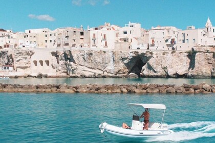 Miete RIB Master Master Vieste