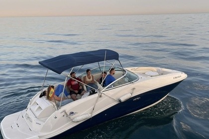 Rental Motorboat Sea Ray 260 SD Marbella