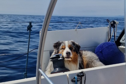 Noleggio Barca a vela Jeneau Sunfast 36 Fezzano