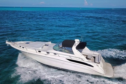 Location Bateau à moteur Sea Ray Sundancer Cancún