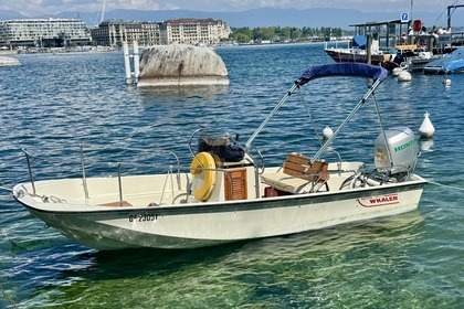 Charter Motorboat Boston Whaler Montauk 17 Genthod
