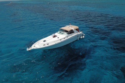 Rental Motorboat Sea Ray Sundancer 14m Tulum