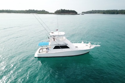 Hire Motorboat Viking 46 Panama City