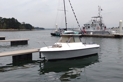 Rental Motorboat Ocqueteau Aliénor Penmarch