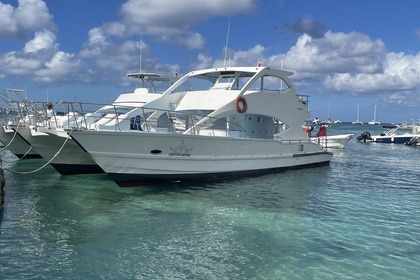 Hire Catamaran Private Isla Saona Catamaran 2018 Bávaro