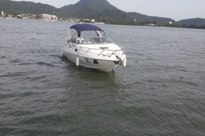 Rental Motorboat Focker 255 Potência 225 São Vicente