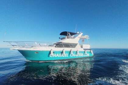 Rental Motorboat Symbol Sundeck 43 Fuengirola