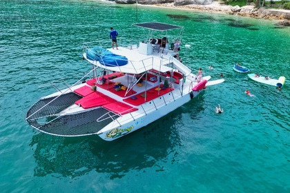 Noleggio Catamarano 45' Custom Waterslides Puerto Vallarta