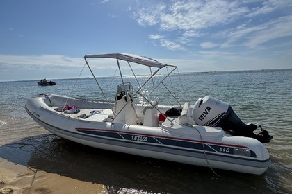 Hire Motorboat Selva Marine 640 Les Issambres