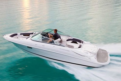 Charter Motorboat Four Winns 240 Horizon Saint-Raphaël