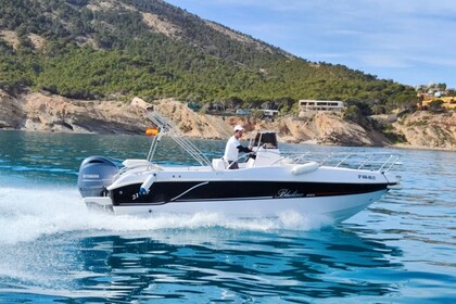 Charter Motorboat Bluline 21 Altea