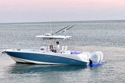 Charter Motorboat Boston Whaler Outrage 320 anniversary Hydra