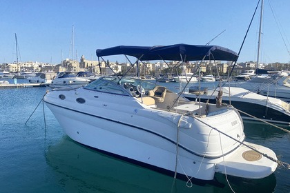 Rental Motorboat Ranieri Capt and crew INCLUDED Ta' Xbiex