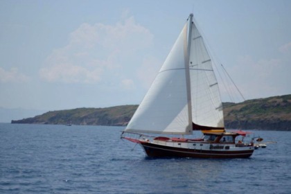 Miete Gulet Custom Built Gulet Bodrum