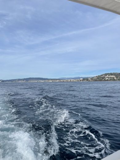 Juan les Pins Without license Selva Marine 480 alt tag text