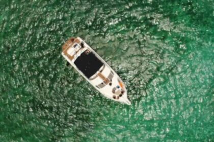 Hire Motorboat Sea Ray Sedan Bridge 14m Puerto Aventuras