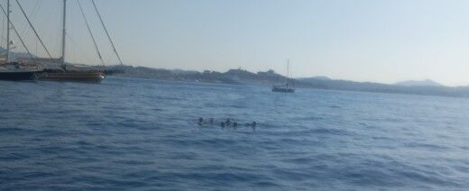 Korfu Sailboat Beneteau Cyclades 50.5 alt tag text