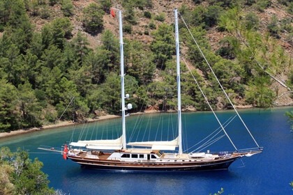 Hyra båt Guletbåt Custom 2009 Bodrum