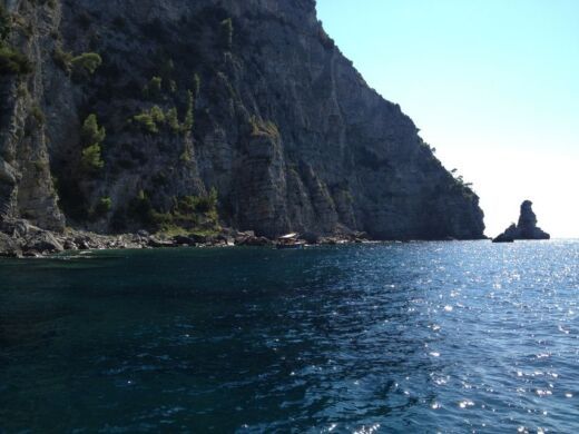 Motorboat Mochi Craft Dominator 31 Plan du bateau