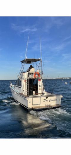 Motorboat Gatto Padi 31 Plano del barco