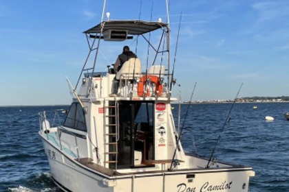 Charter Motorboat Gatto Padi 31 Lège-Cap-Ferret