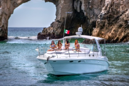 Rental Motorboat Sea Ray 400 Sundancer Cabo San Lucas