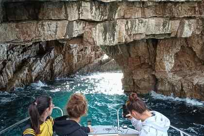 Miete Motorboot Quicksilver 605 Open Kotor Municipality