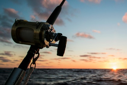 Miete Motorboot Oki Boats Barracuda 545 Marbella