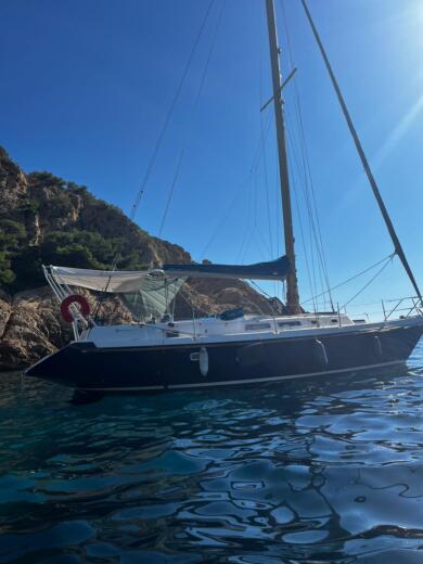 Marseille Sailboat Conyplex contest 36 alt tag text