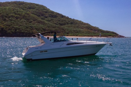 Rental Motorboat Sea Ray 320 Sundancer Mazatlán