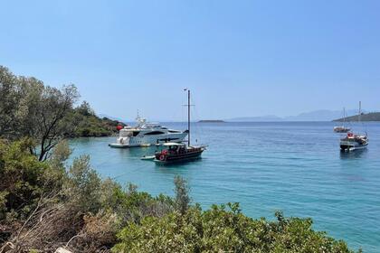 Noleggio Caicco Custom 2016 Bodrum