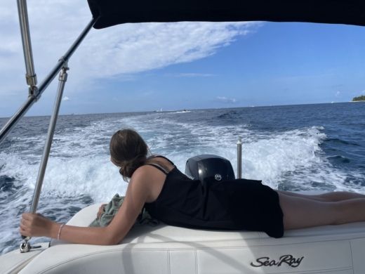 Poreč Motorboat Sea Ray 190 Spx alt tag text