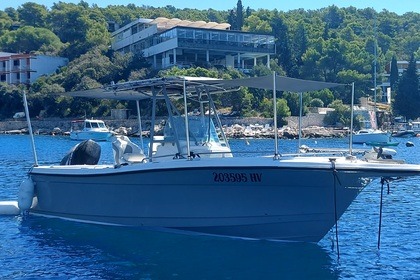 Charter Motorboat Bayliner Trophy 2503FM Trophy 2503FM Hvar