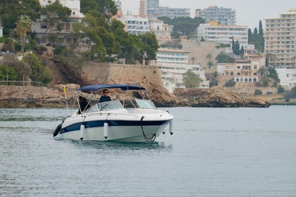 Hire Motorboat Sea Ray 280 Palma de Mallorca