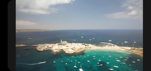 Alicante Motorboat Selva Marine d5.6 alt tag text