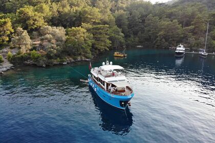 Hyra båt Motorbåt Trawler 2016 Muğla