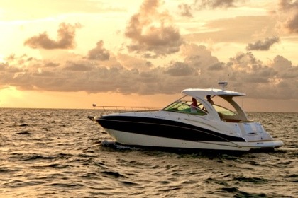 Location Bateau à moteur Cruiser Yachts 38 Hyères